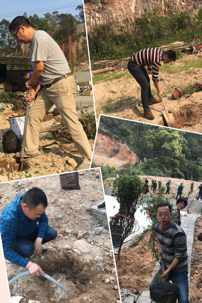 植樹5_副本.jpg 植樹5_副本.jpg